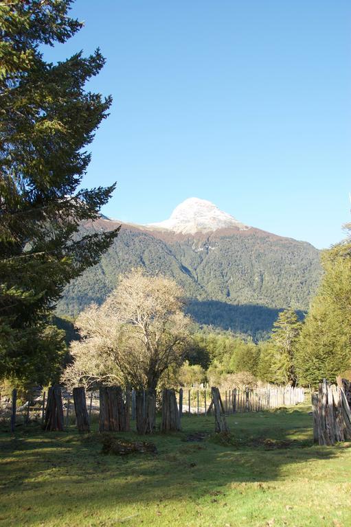 Casa Campo Carretera Austral Puerto Cisnes Kültér fotó